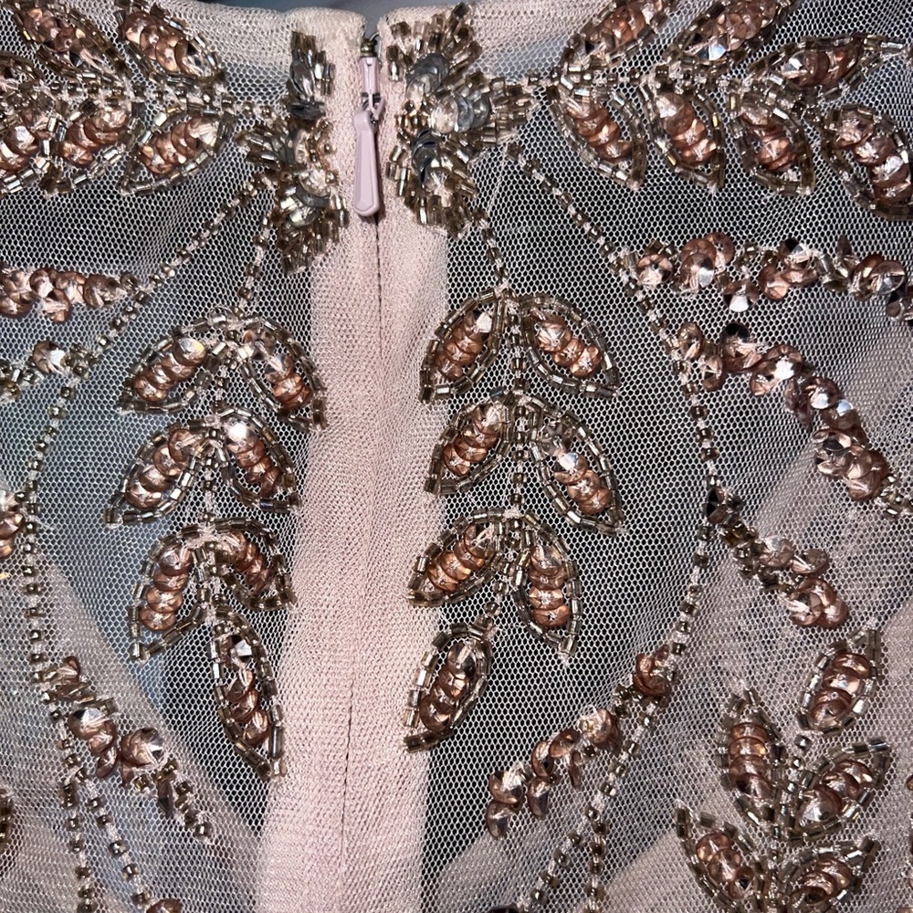 ADRIANNA PAPELL Wome’s Hand Beaded Short Sleeve Floral Godet Gown In Taupe Pink - Picture 5 of 9